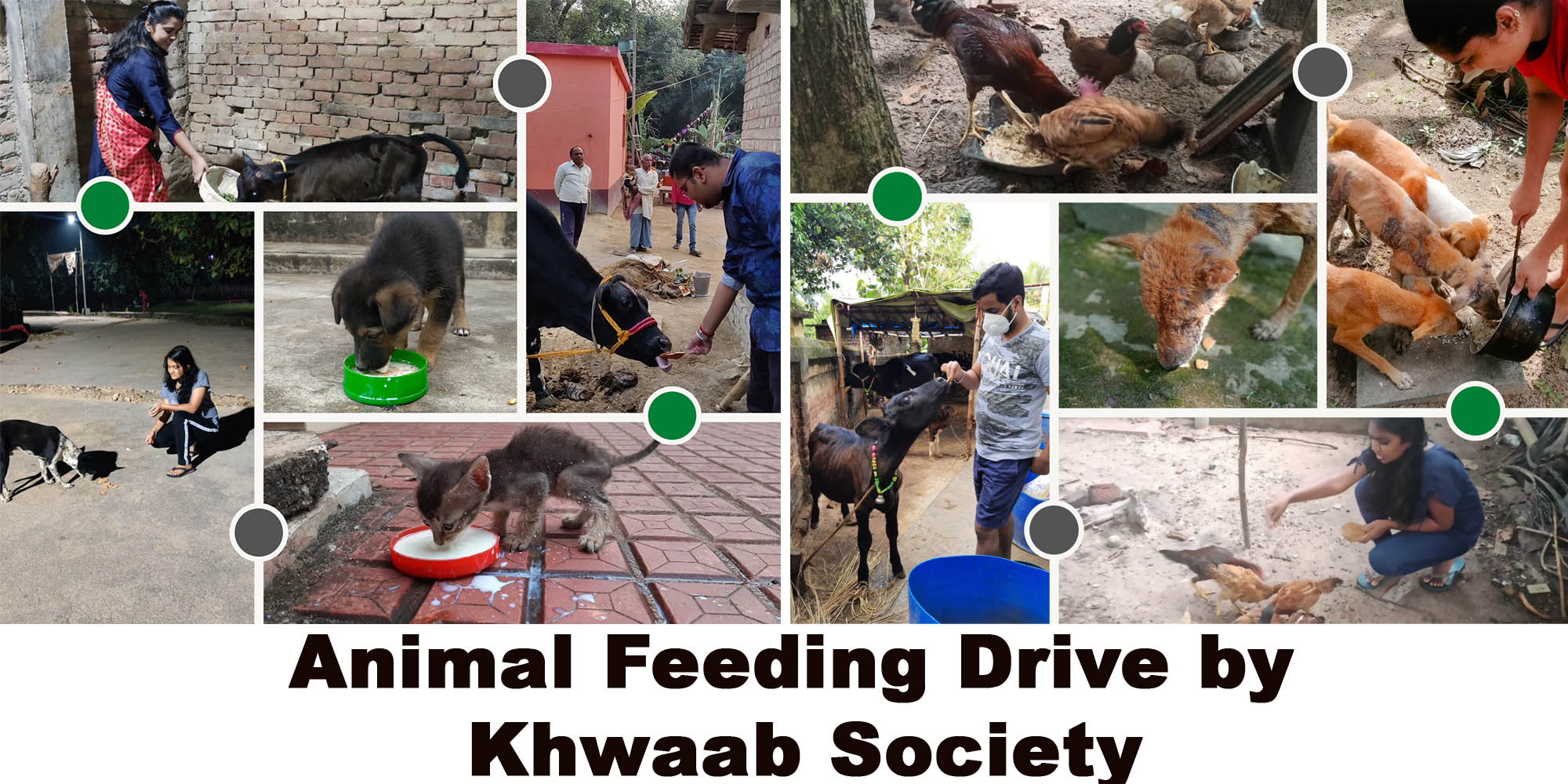 Animal Feeding Drive by Khwaab Society, KSAC in India & Sri Lanka KIIT University News & Events